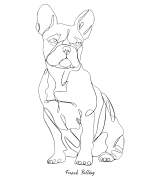 Buldog Francuski Outline Bluza z kapturem