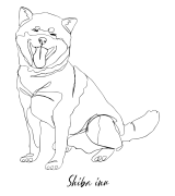 Shiba Inu Outline Bluza z kapturem