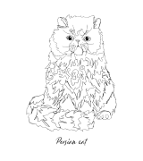 Perski Outline Bluza z kapturem