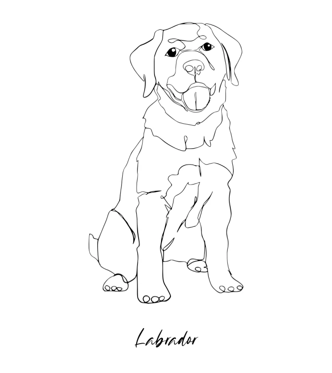 Labrador Outline Bluza unisex