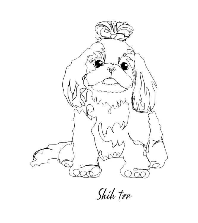Shih Tzu Outline Bluza unisex