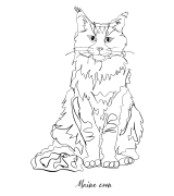 Maine Coon Outline Bluza unisex