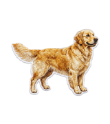 Golden Retriever Naszywka T-shirt oversize