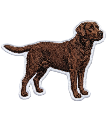 Labrador Naszywka T-shirt oversize