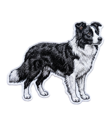 Border Collie Naszywka T-shirt oversize