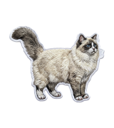 Ragdoll Naszywka T-shirt oversize