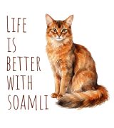 Life Is Better With Kot Somalijski T-shirt