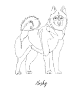 Husky Outline T-shirt