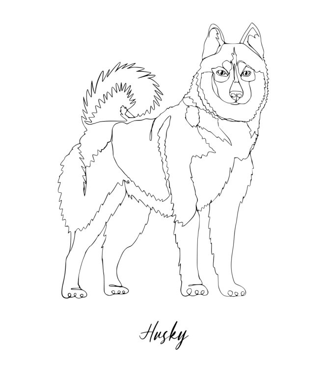 Husky Outline T-shirt