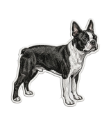 Boston Terrier Naszywka T-shirt oversize