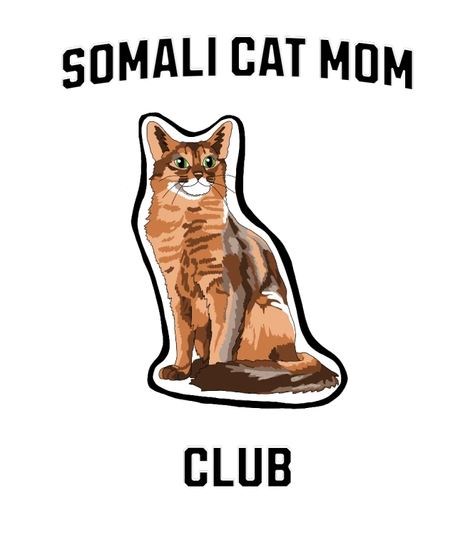 Somalijski Mom Club T-shirt