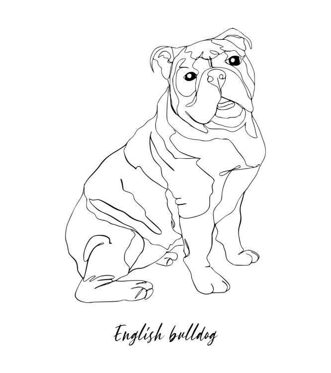 Buldog Angielski Outline T-shirt