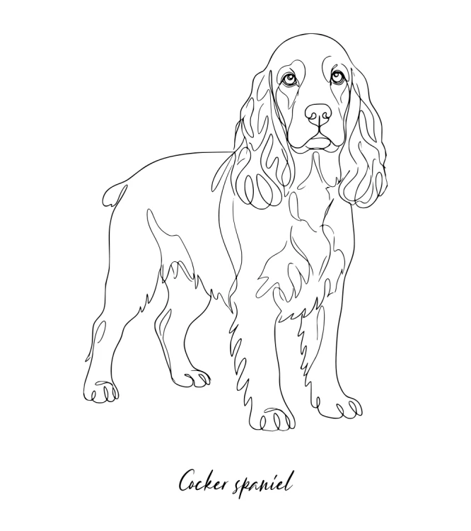 Cocker Spaniel Outline T-shirt