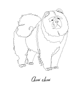 Chow Chow Outline T-shirt