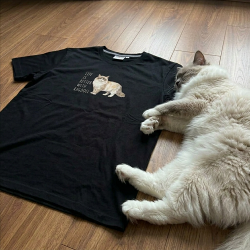 Life Is Better With Ragdoll T-shirt