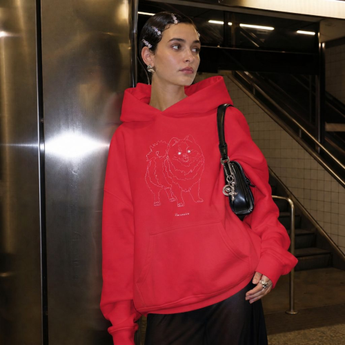 Szpic Miniaturowy Outline Bluza z kapturem