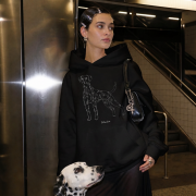 Dalmatyńczyk Outline Bluza z kapturem