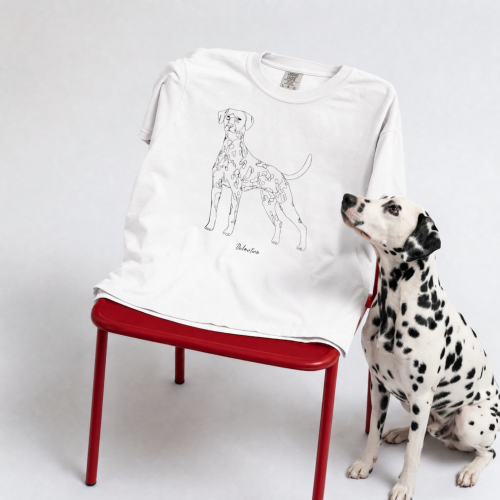 Dalmatyńczyk Outline T-shirt