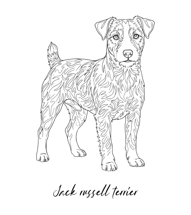 Jack Russell Terrier Outline T-shirt.png