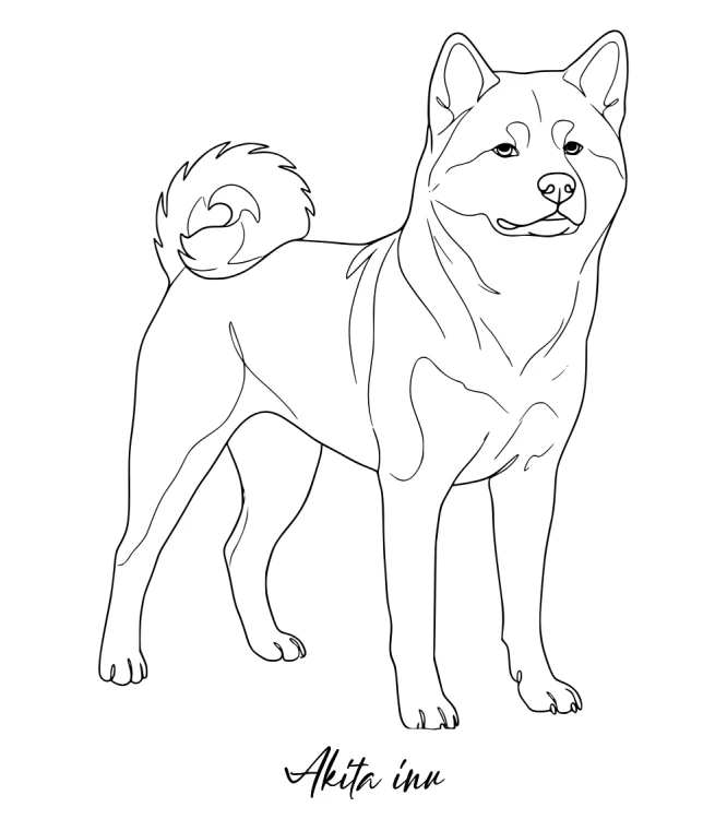 Akita Inu Outline T-shirt