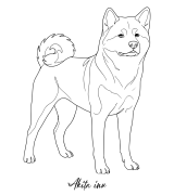 Akita Inu Outline T-shirt