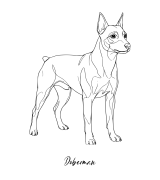 Doberman Outline T-shirt