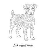 Jack Russell Terrier Outline Bluza z kapturem