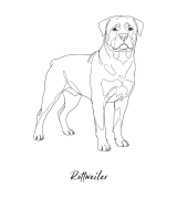 Rottweiler Outline T-shirt