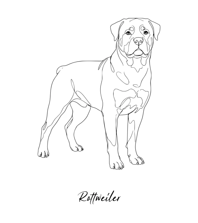 Rottweiler Outline Bluza z kapturem