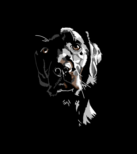Labrador Shadow T-shirt