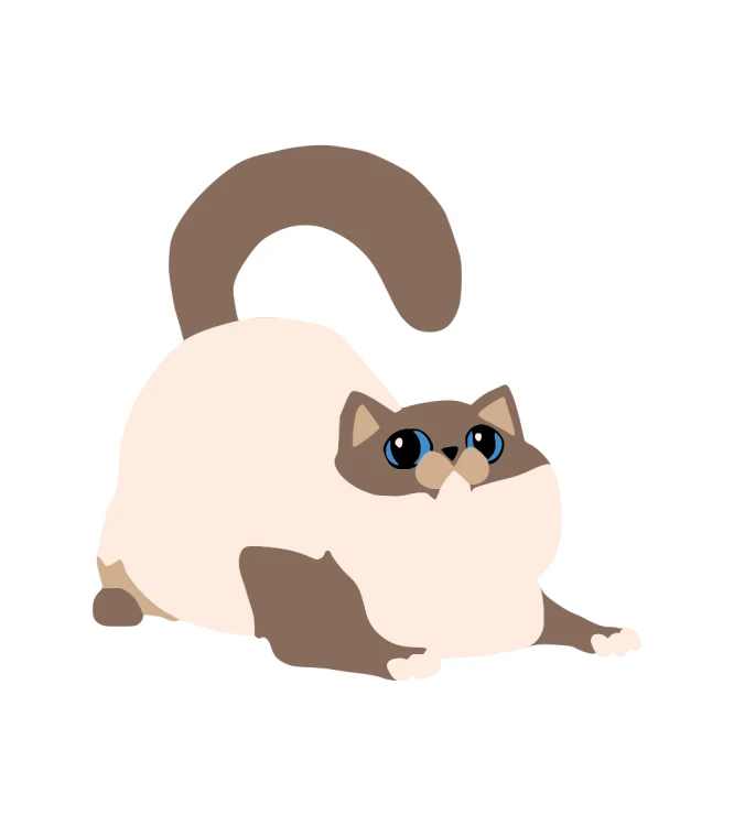Ragdoll T-shirt