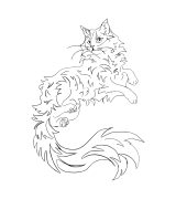 Maine Coon Outline 2 T-shirt