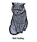 Not Today T-shirt