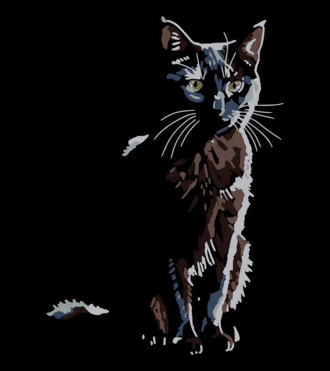 Czarny Kot Shadow T-shirt