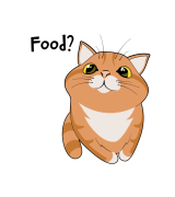 Food? T-shirt