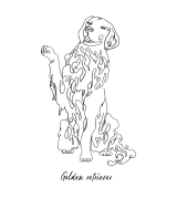 Golden Retriever Outline T-shirt