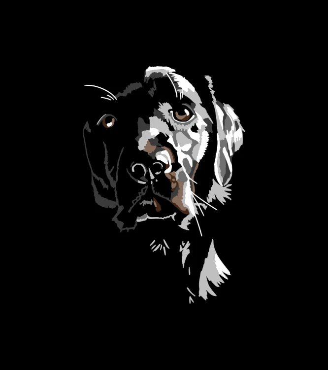 Labrador Shadow T-shirt