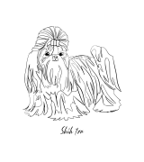 Shih Tzu Outline 2 T-shirt