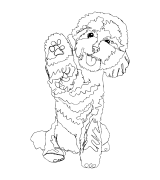 Pudel Outline 2 T-shirt