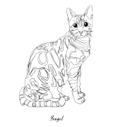Bengalski Outline T-shirt