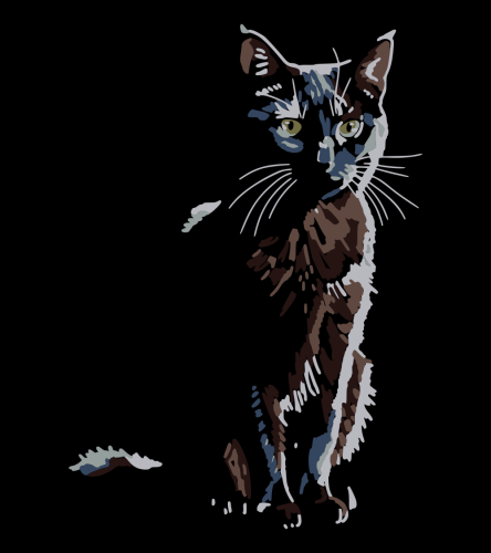 Czarny Kot Shadow T-shirt